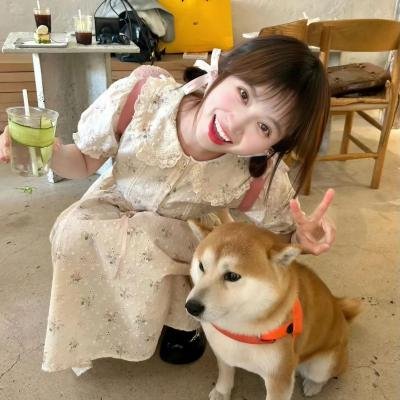 周日正午 高清封面